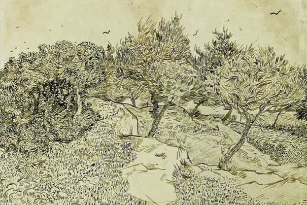 (1888), Vincent van Gogh