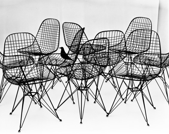 Wire Chairs with bird, 1953. Photo: Charles Eames.