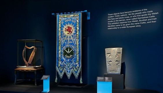 Queen Mary's harp (left) displayed in the opening room of 'Celts: Art and Identity'