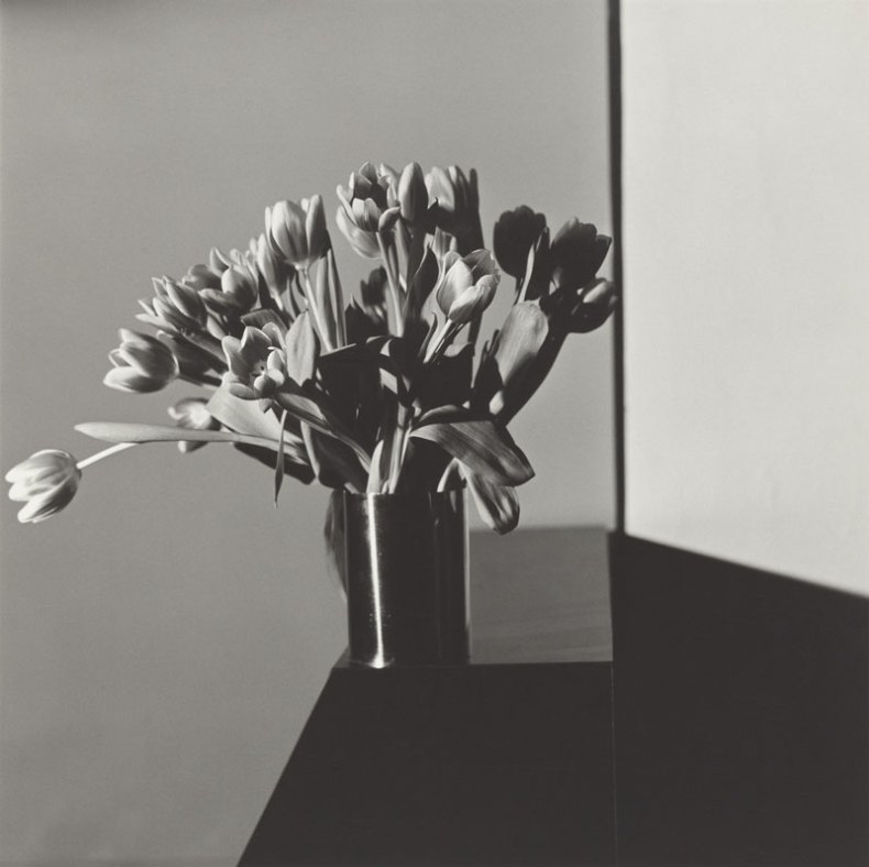 (1978), Robert Mapplethorpe.