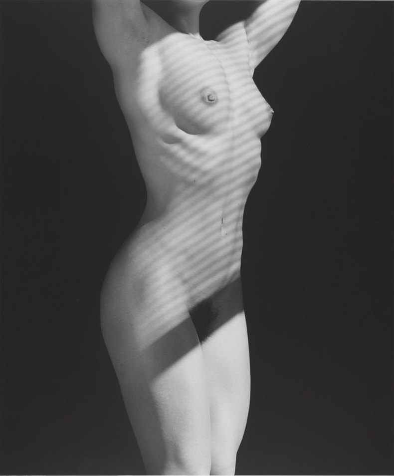 (1987), Robert Mapplethorpe.