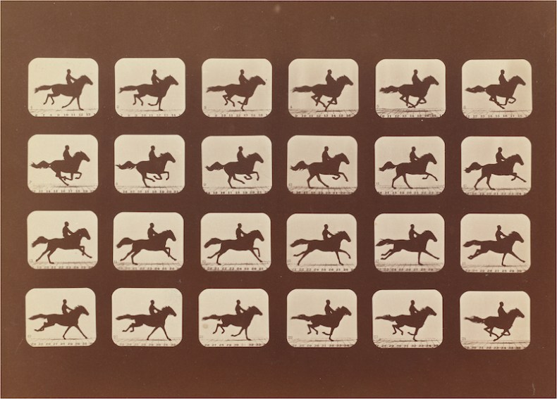 Horses. Running. Phyrne L. No. 40, from The Attitudes of Animals in Motion
