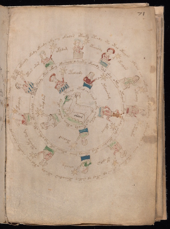 Illustrated pages from the Voynich Manuscript, c. 15th century. Beinecke Rare Book and Manuscript Library, Yale University