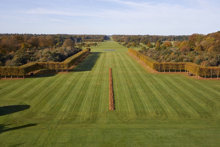 Installation view of A Line in Norfolk by Richard Long, 2016. © Pete Huggins