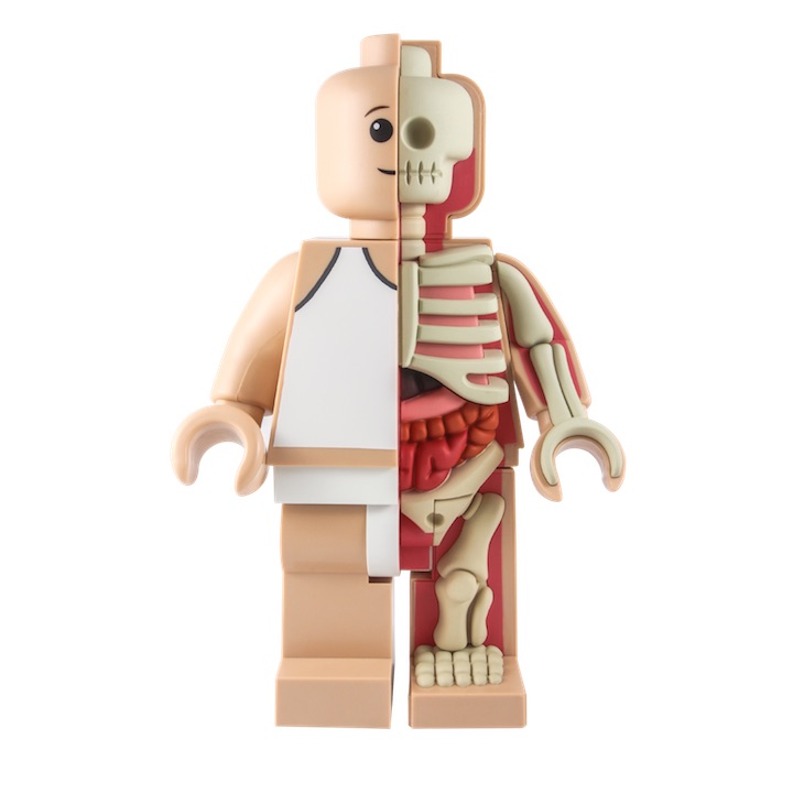 Bigger Micro Anatomic Schematic 1 (2015), Jason Freeny X Mighty Jaxx. © Mighty Jaxx