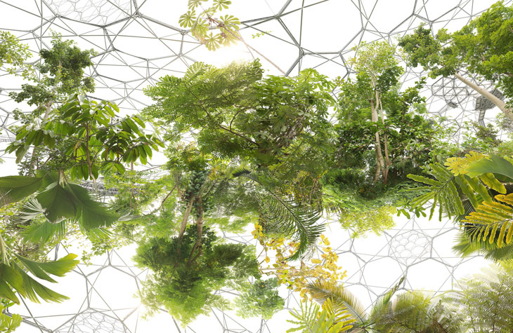 Space Garden (2013), Michael Najjar. Courtesy the artist