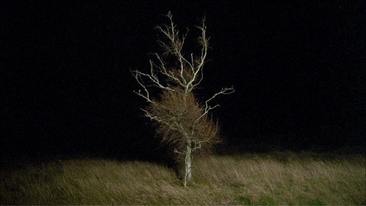 Alien Tourist (film still; 2017), Maria von Hausswolff. Courtesy of Screen City Biennial, Stavanger, Norway