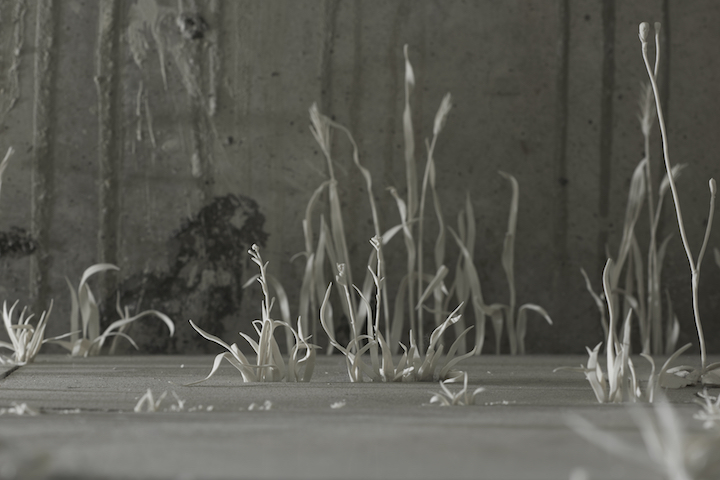 Wildness (detail; 2016), Katie Spragg. Photo: Sylvain Deleu