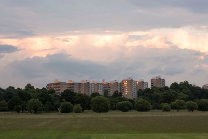 View of Alton Estate from Richmond Park, London