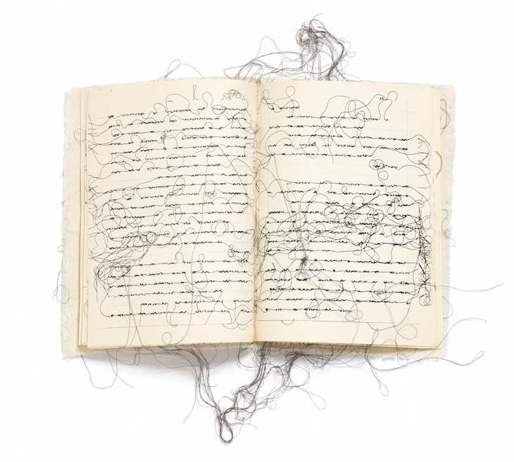 Diario, Maria Lai