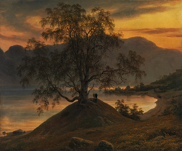 Old Birch Tree at the Sognefjord (1839), Thomas Fearnley. National Museum of Art, Architecture and Design, Oslo