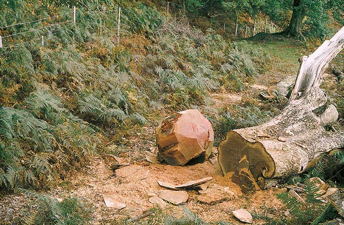 Wooden Boulder (1978–ongoing), David Nash, in 1978.