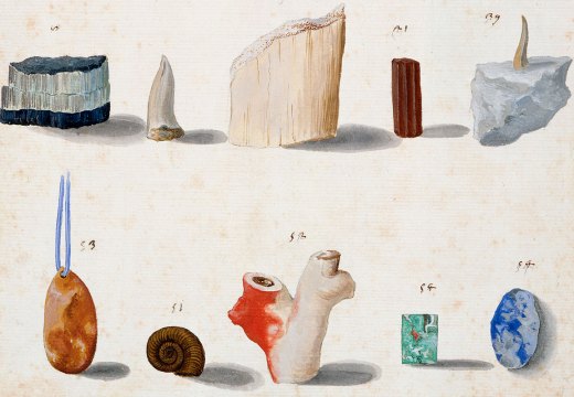 Lapidary and ‘figured’ stones, corals, fossils, semi-precious stones and minerals (c. 1630–40), Vincenzo Leonardi