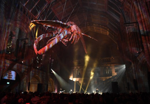 Coldplay Perform At The Natural History Museum