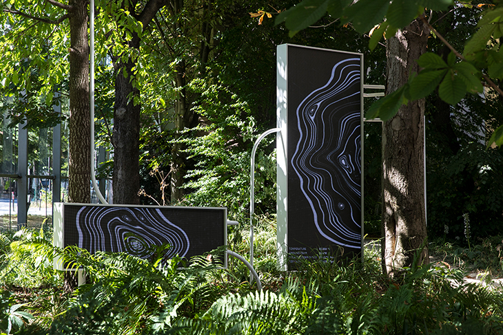 Installation view of Symbiosia (2019) by Thijs Biersteker and Stefano Mancuso.