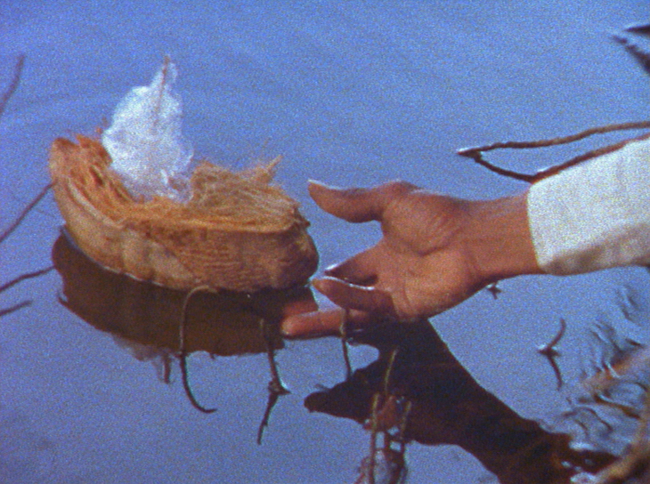 Caribs’ Leap (video still) (2002), Steve McQueen.