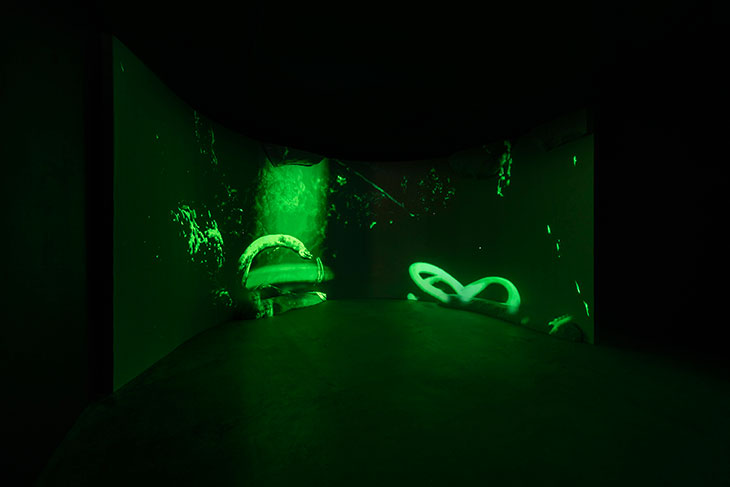 Abyssal Seeker [Demersal Zone] (2021), Joey Holder, installation view at Seventeen, London.