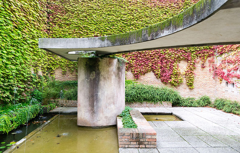 a courtyard space with overgrown walls and pool of water