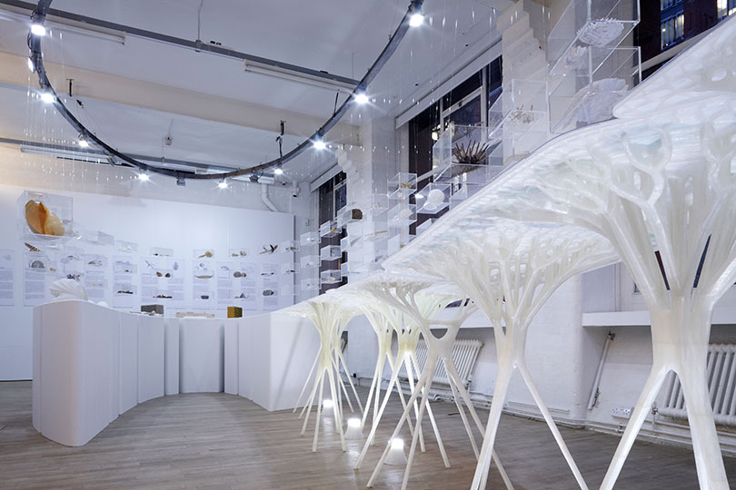 'Exploration Architecture: Designing with Nature' at the Architecture Foundation.