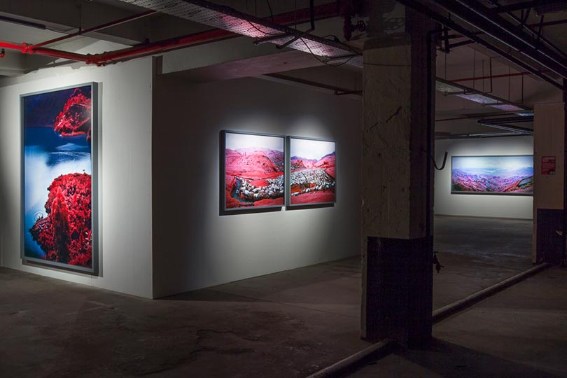 'Richard Mosse – The Enclave' (installation view at the Vinyl Factory)