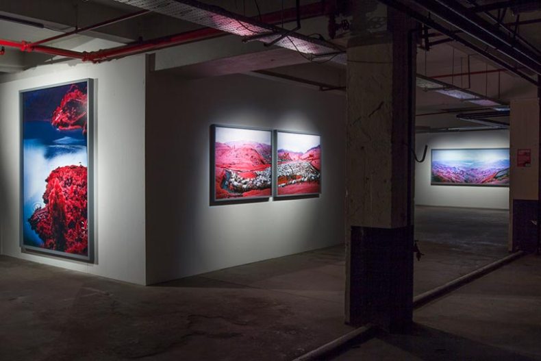 'Richard Mosse – The Enclave' (installation view at the Vinyl Factory)