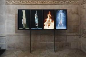 (2014), Bill Viola.