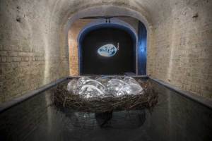 'Darwin's Dream' at The Crypt Gallery, St Pancras Church (installation view)