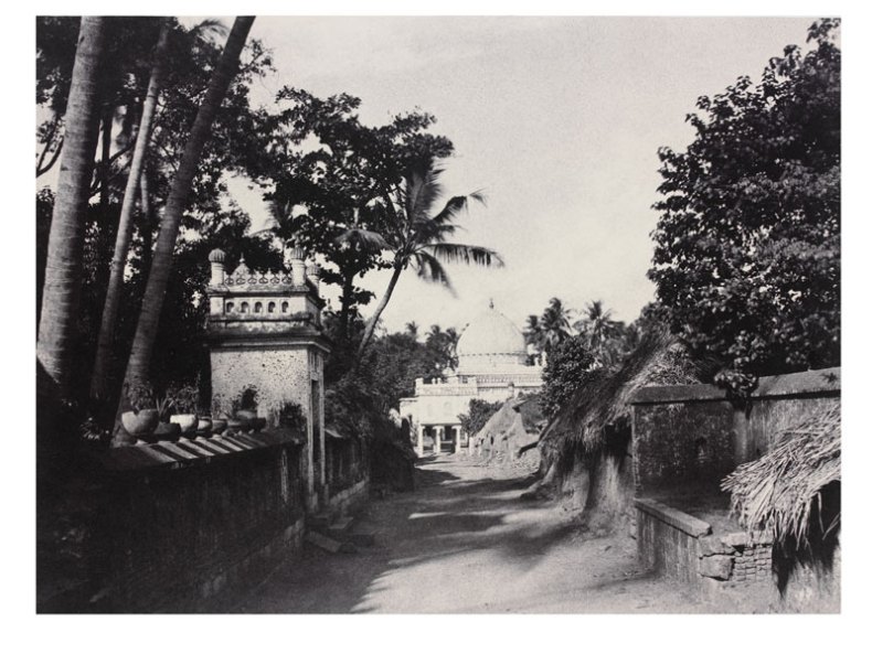 (January or April 1858), Linnaeus Tripe