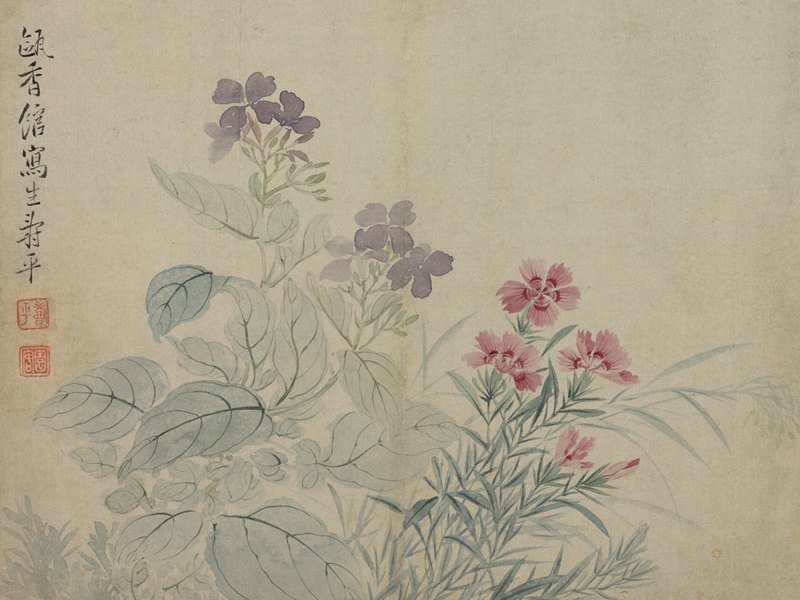 Bean-Flowers and Pinks 豆花石竹（花卉冊)
