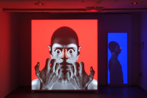 (2015), Joe Pearson, video projection