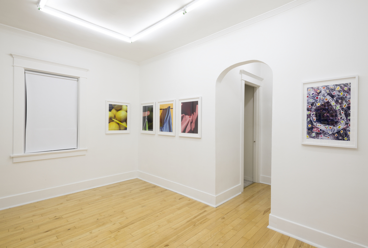 Installation view, 'Paul Pescador: Color/d: Vol. I - III' (16 November–21 December 2014) at Park View Gallery, LA 