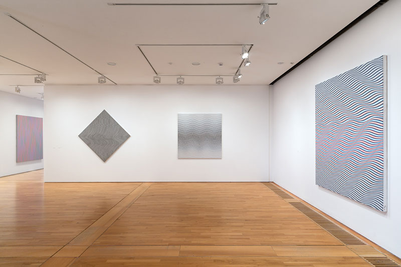 'Bridget Riley: The Curve Paintings, 1961-2014' (installation view)