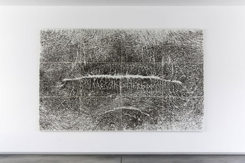 (2005), Giuseppe Penone.