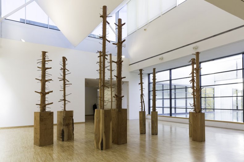 (1980-2014), Giuseppe Penone. Installation view, Musée de Grenoble 2014.