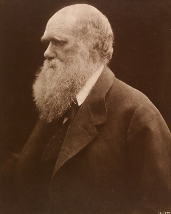 (1865), Julia Margaret Cameron