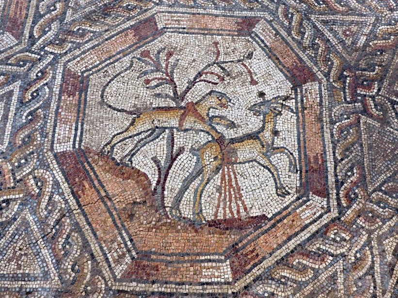 Unique mosaics exhibited at Lod Mosaic Archaeological Center in  Israel-Xinhua