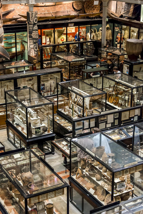 A display of the archaeological and anthropological collections at the Pitt Rivers Museum, University of Oxford. © LatitudeStock/Alamy Stock Photo