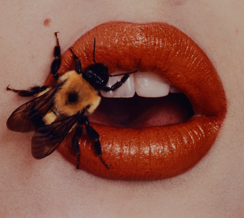 Bee (1995), Irving Penn.