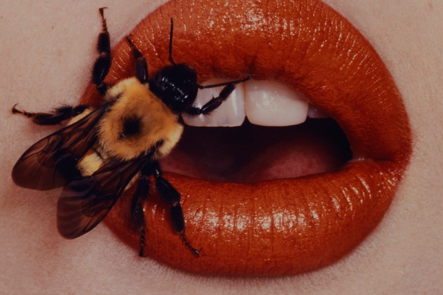 Bee (1995), Irving Penn.