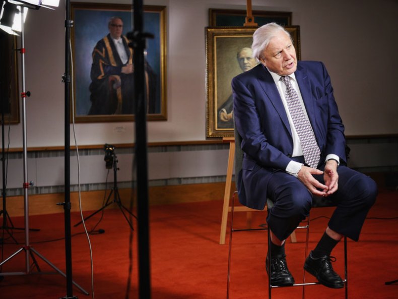 David Attenborough at the Attenborough Arts Centre for the opening of the new gallery.