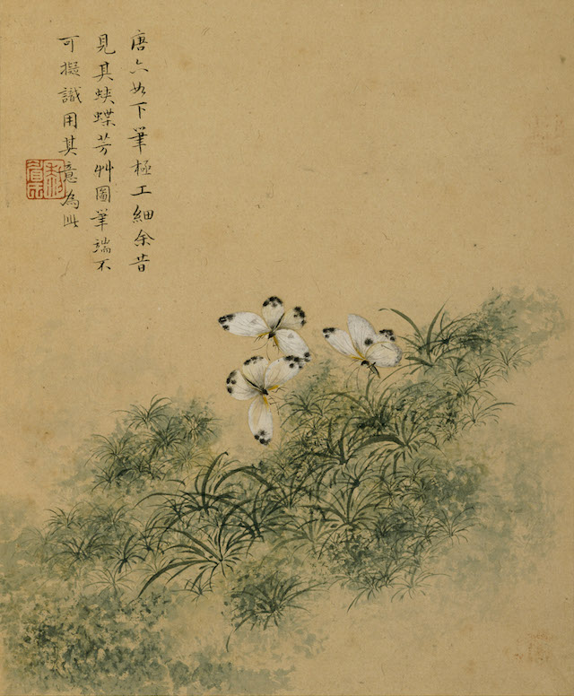 Butterflies among Fragrant Grasses, in the Style of Tang Yin from the album 'Flowers'