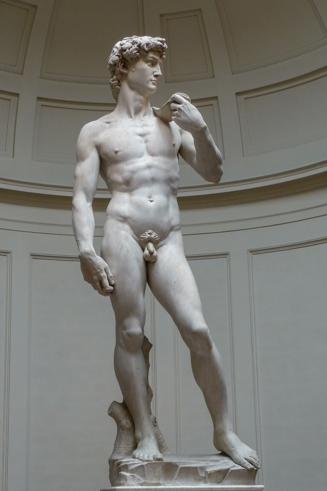 David (1501–04), Michelangelo Buonarroti