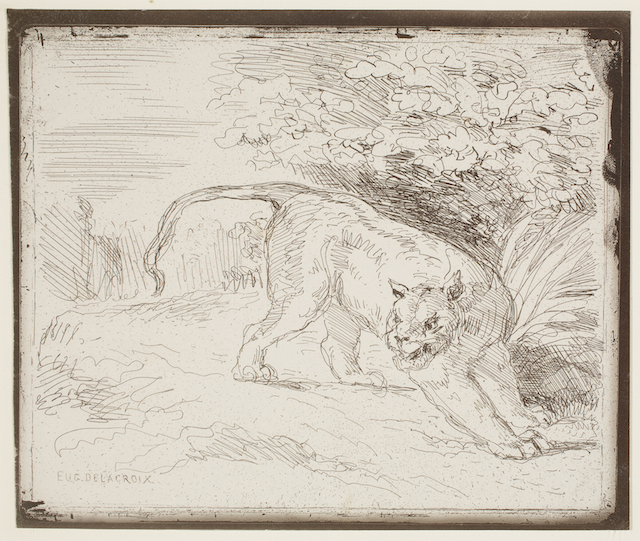 Tiger at Bay, plate 36 of 40 from the portfolio Forty Clichés Verre