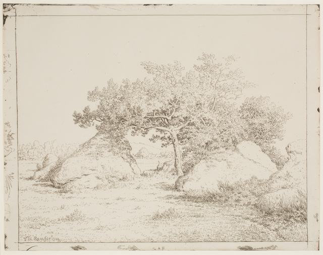 Cherry Tree at Plante-à-Biau, plate 39 of 40 from the portfolio Forty Clichés Verre