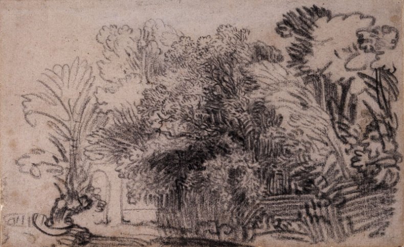 A clump of trees in a fenced enclosure (c. 1645), Rembrandt. British Museum