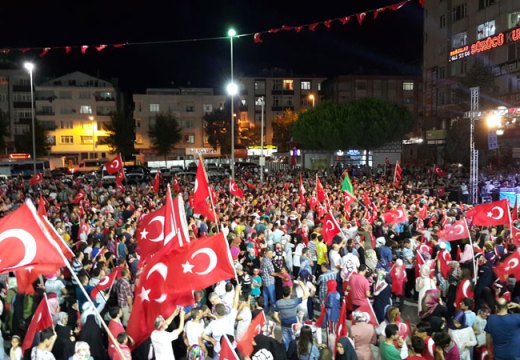 A pro-AKP rally in Istanbul, Turkey, after the failed coup attempt of 15 July 2016.