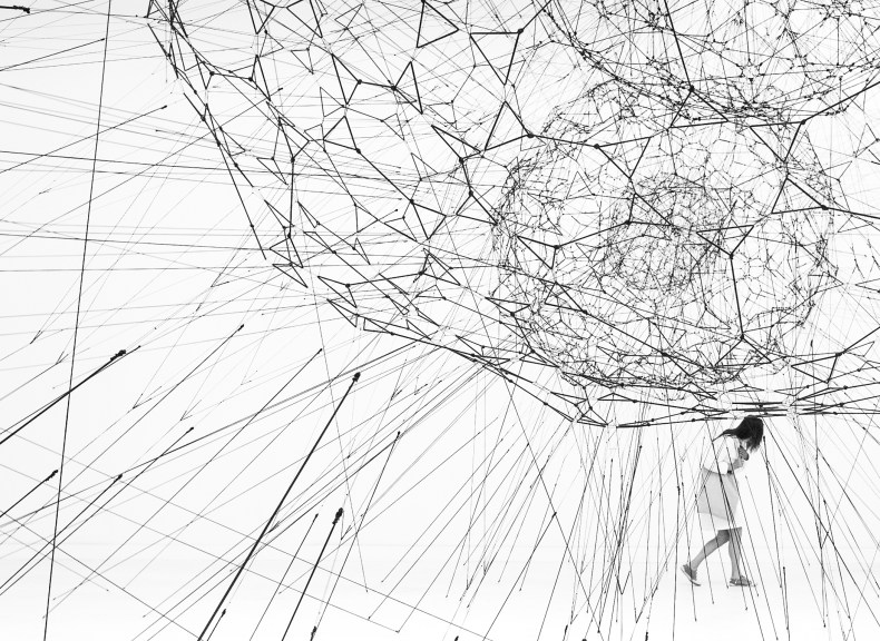Galaxies Forming along Filaments, like Droplets along the Strands of a Spider’s Web, Tomás Saraceno