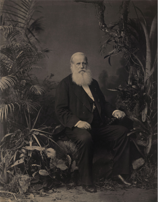Pedro II of Brazil photographed by Joaquim Insley Pacheco (1830–1912) in 1883.