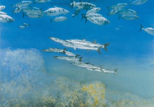 School IV: Barracuda under Skipjack Tuna (1978), Michael Andrews