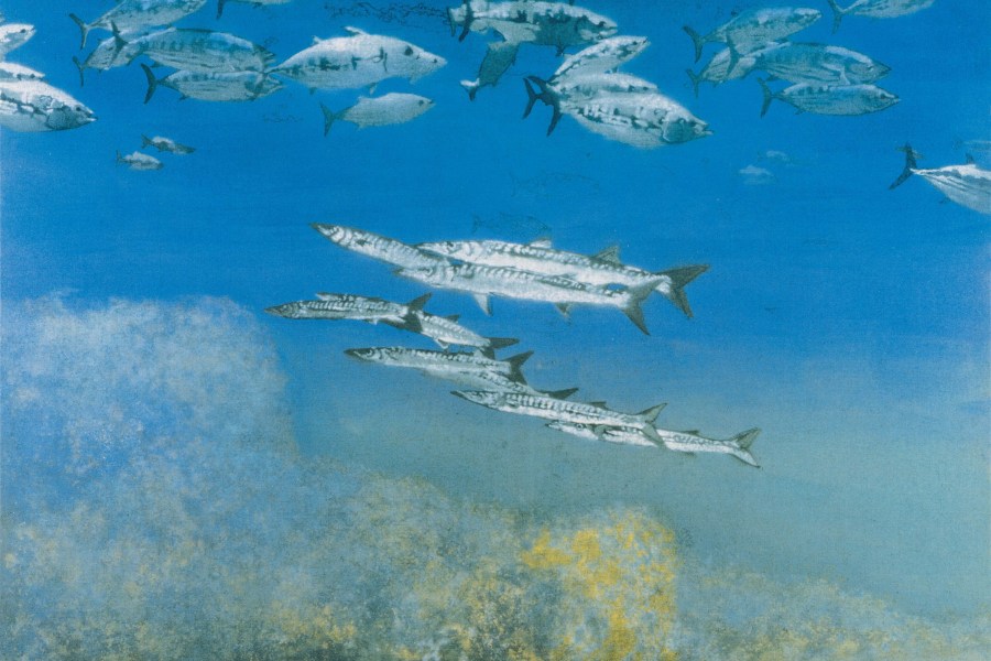 School IV: Barracuda under Skipjack Tuna (1978), Michael Andrews